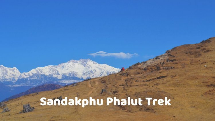 Sandakphu Phalut Trek