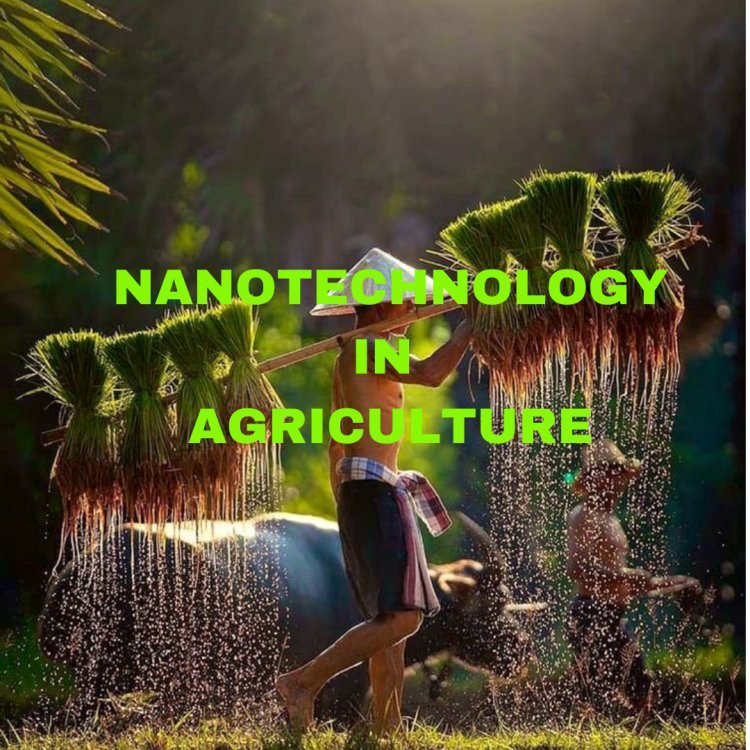 Nanotechnology in Agriculture