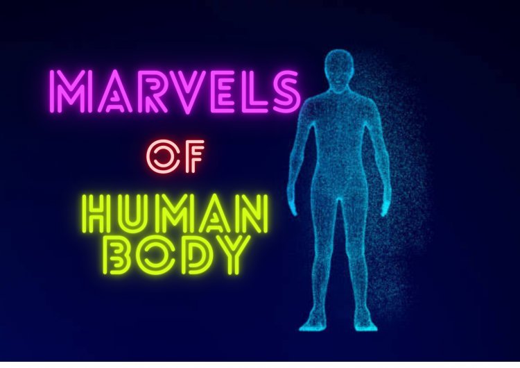 Fascinating facts about the human body