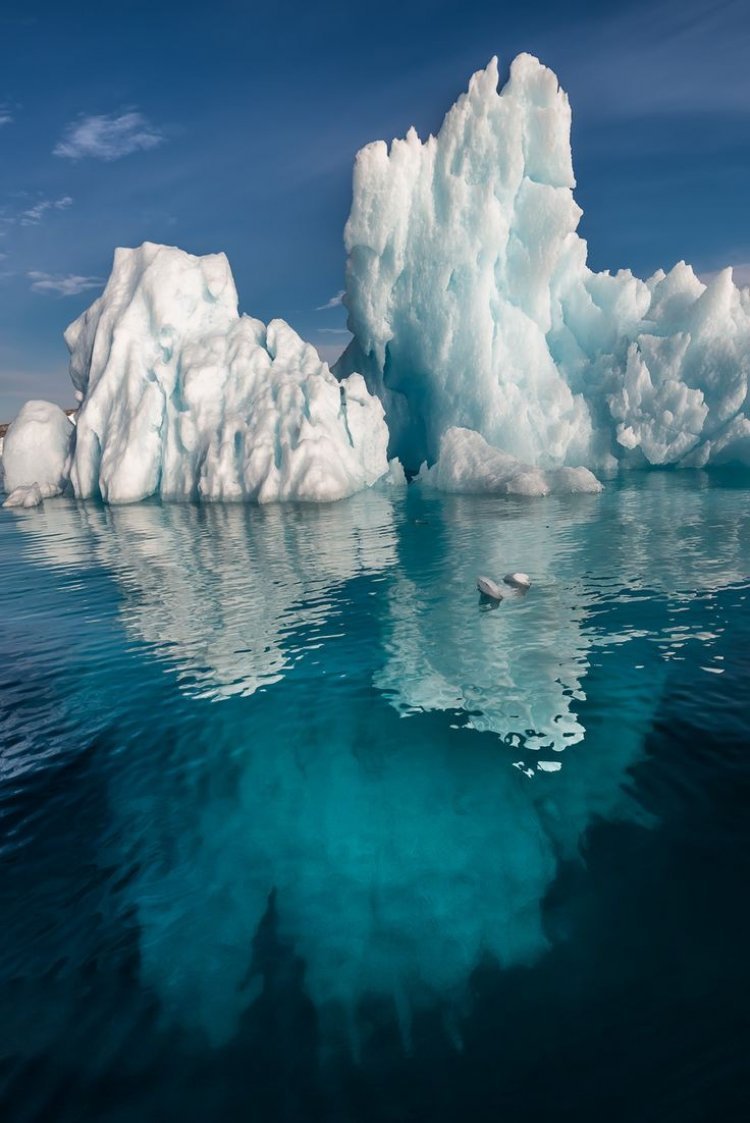 Arctic Ocean-  Explore the frosty beauty