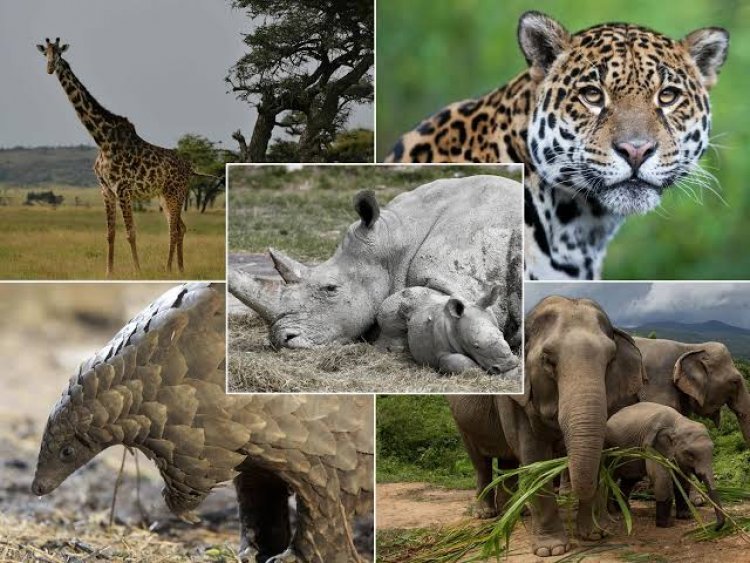 Endangered and extinct species- Animals